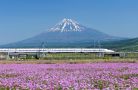 Dịch Vụ Vé Tàu Hỏa - Tàu Shinkansen - Tgv