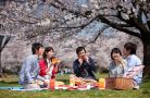 Hướng dẫn thủ tục hồ sơ xin visa thăm bạn bè Nhật Bản