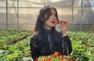 4 vườn dâu tây cho bạn check-in ở Đà Lạt