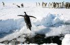Khám phá 13 sự thật thú vị về Nam Cực
