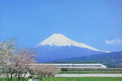 Những điều thú vị về tàu cao tốc Shinkansen của Nhật Bản