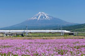 Thủ tục xin visa khi đi du lịch Nhật Bản