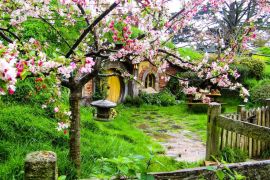 New Zealand - tọa độ mùa xuân đẹp quên lối về của tín đồ du lịch