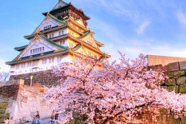 Đi Đâu Chơi Gì Trong Một Tour Du Lịch Nhật Bản Trọn Gói ?