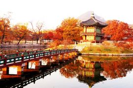 Vẻ Đẹp Mua Thu Hàn Quốc - Chỉ Nhìn Thôi Và Cảm Nhận