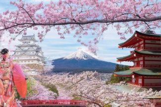 Lịch dự kiến thời gian hoa anh đào nở tại Nhật Bản