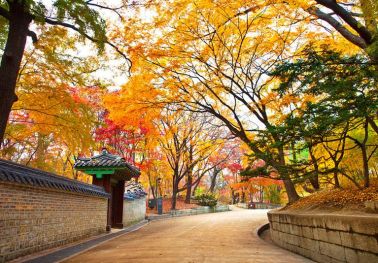 Tour Hàn Quốc Cao Cấp Incheon - Songdo - Seoul - Suwon