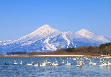 Tour Nhật Bản: Hokkaido Điều Kì Diệu Đến Từ Phương Bắc