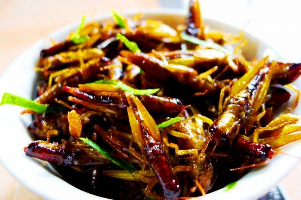 Khám Phá Ẩm Thực Quý Châu - Vùng Đất Ăn Cay Giỏi Nhất Trung Quốc