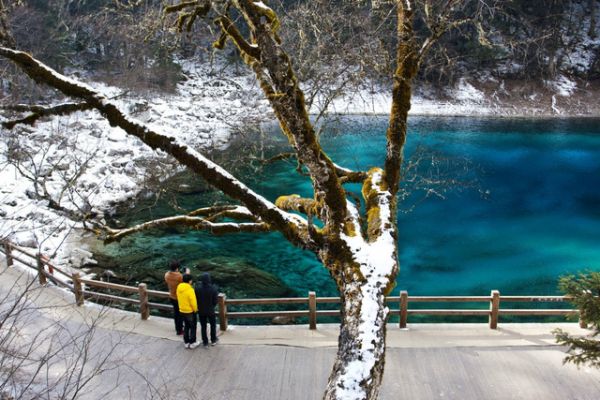 Thiên Nhiên Cửu Trại Câu Chuyển Mình Sang Đông Đẹp Như Tranh Vẽ