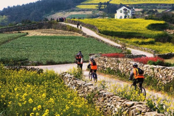 Đảo Cheongsando - Thiên Nhiên Tươi Đẹp Và Cuộc Sống Thanh Bình