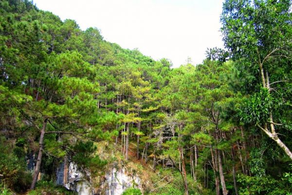 Trekking săn mây và 4 trải nghiệm hấp dẫn chỉ có ở Philippines