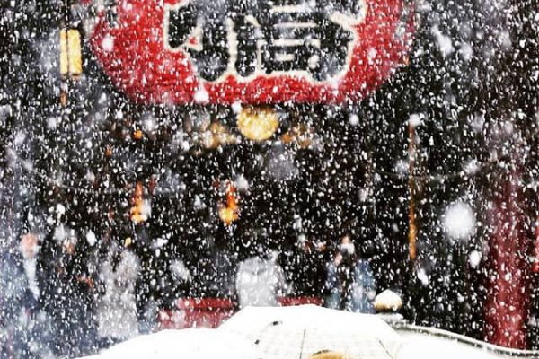 Tokyo Hóa Xứ Sở Thần Tiên Những Ngày Tuyết Rơi Đầu Mùa