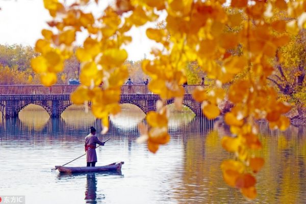 Thắng Cảnh Trung Quốc Nhuộm Sắc Vàng Những Ngày Thu
