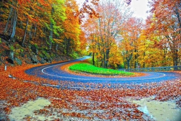 Lá phổi của New York chuyển vàng vào mùa thu