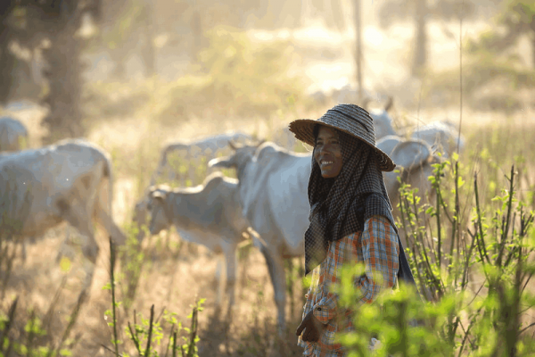Đắm Say Vẻ Đẹp Bình Yên Ở Bagan Malaysia