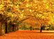 7 điểm du lịch lý tưởng cho mùa thu 
