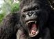 Bộ phim bom tấn Hollywood "King Kong" lấy bối cảnh quay tại Việt Nam