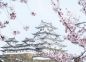 Tour Nhật Bản: Rực rỡ sắc hoa trên Xứ Phù Tang