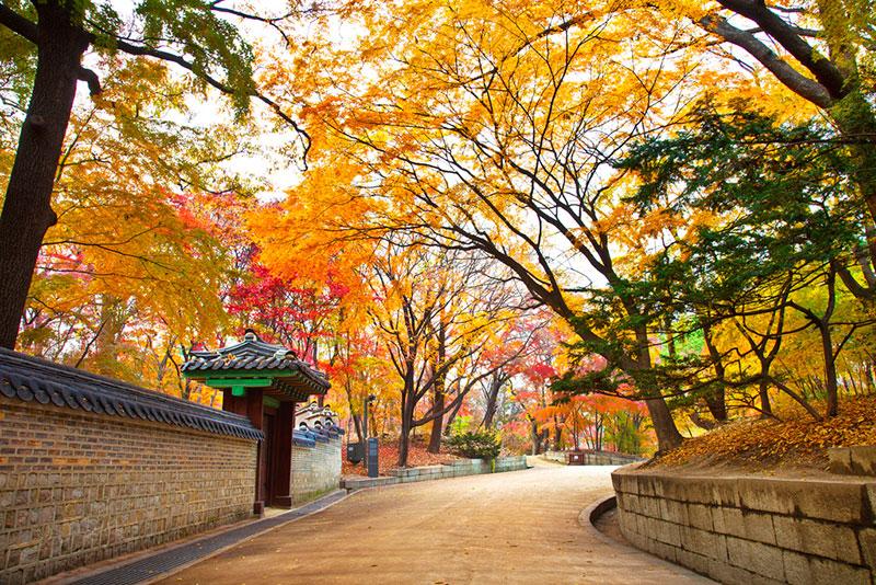 Tour Hàn Quốc Cao Cấp Incheon - Songdo - Seoul - Suwon