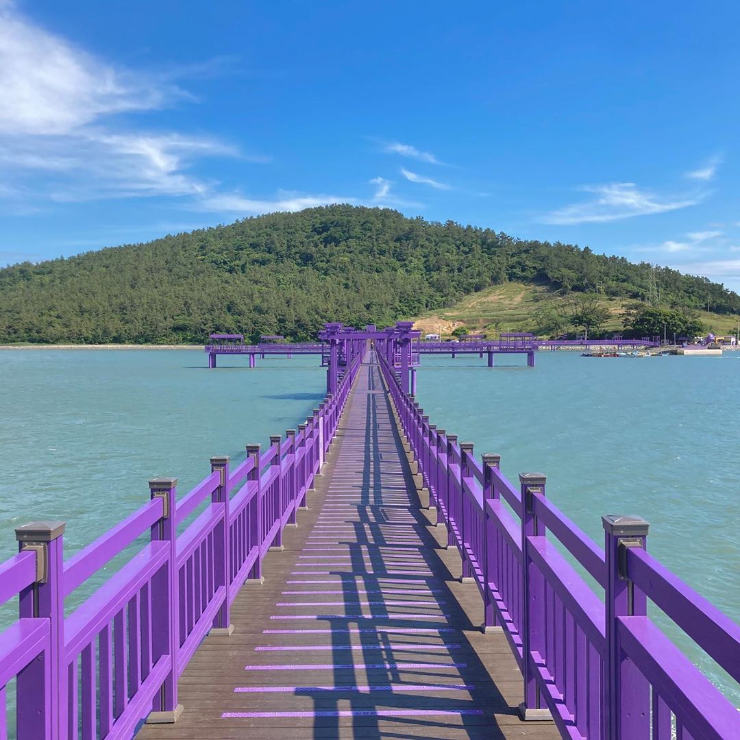 Xuất hiện đảo tím Purple Island độc đáo ở Hàn Quốc ảnh 1