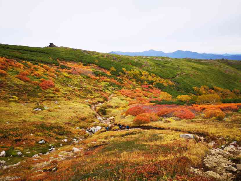 Chiêm ngưỡng nơi đầu tiên đón mùa thu ở Nhật ảnh 10
