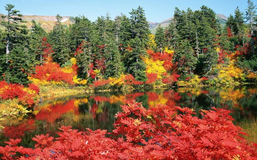 Chiêm ngưỡng nơi đầu tiên đón mùa thu ở Nhật ảnh 9