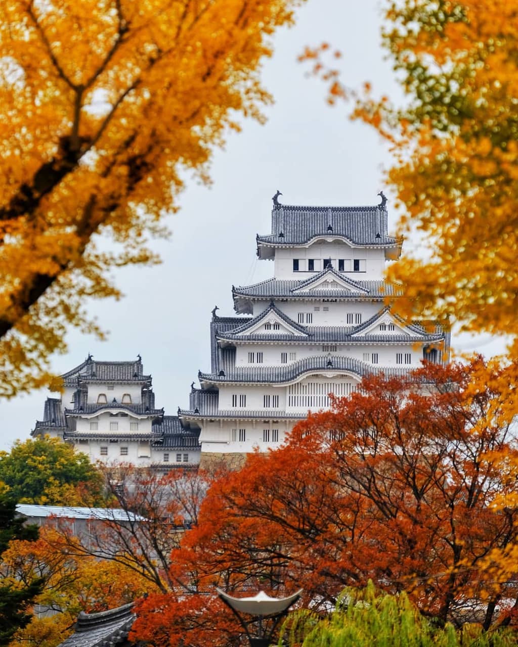 Tour Nhật Bản: Rực Rỡ Sắc Hoa Trên Đất Nước Phù Tang