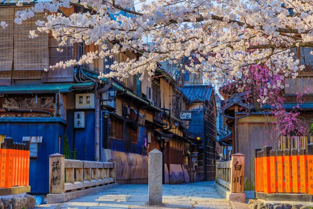 Bật mí những địa điểm ngắm hoa anh đào ở Nhật Bản ảnh 1