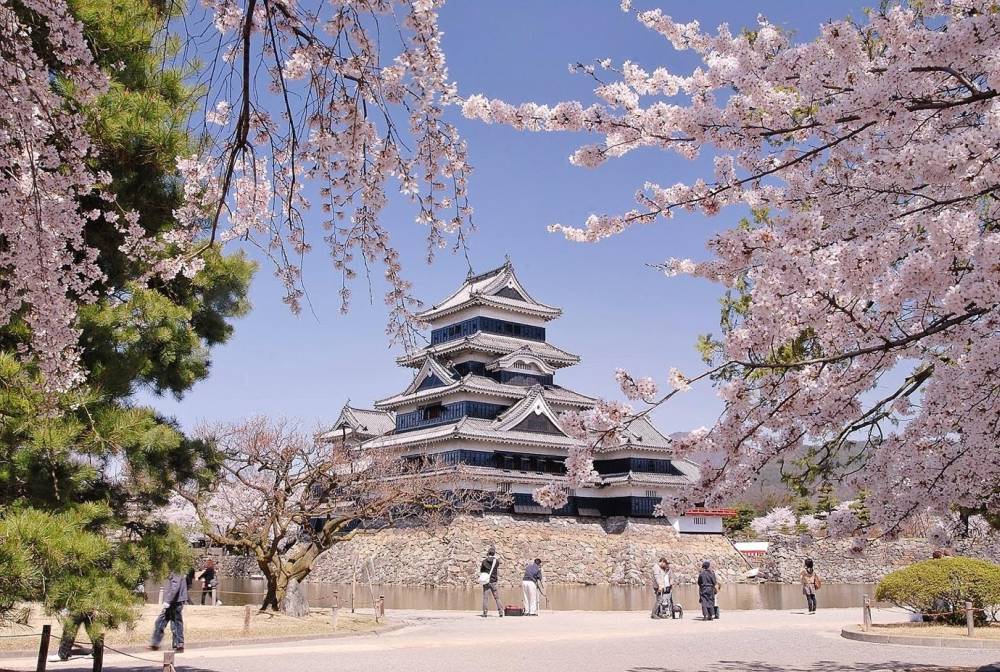 Bật mí những địa điểm ngắm hoa anh đào Nhật Bản ảnh 7