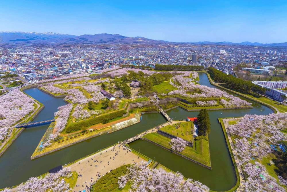 Bật mí những địa điểm ngắm hoa anh đào Nhật Bản ảnh 8