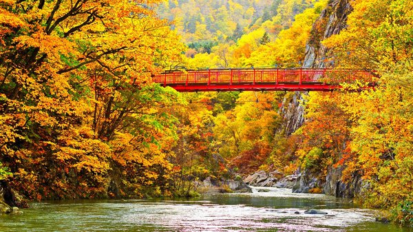 Những rặng núi thuộc công viên quốc gia Daisetsuzan là nơi đầu tiên nhìn thấy sắc lá chuyển vào mùa thu mỗi năm.