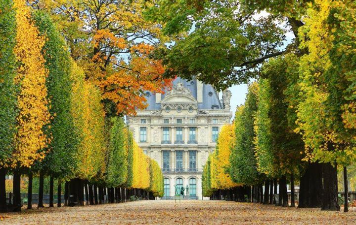 Khu vườn Tuileries với những bức tượng trang trí tinh tế, hồ nuớc lớn và những lối đi phủ lá vàng thơ mộng là nơi lý tưởng để tận hưởng mùa thu.