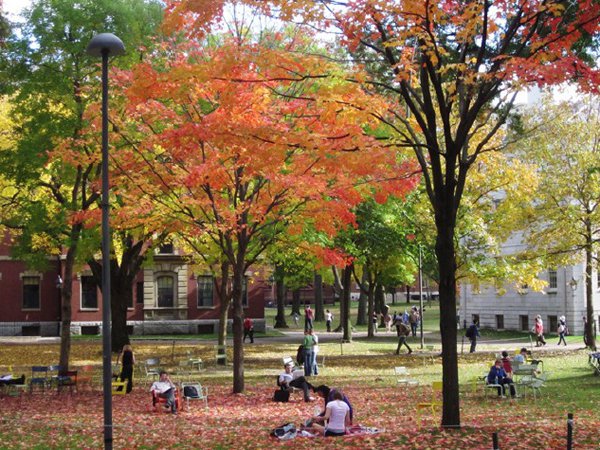 Khuôn viên trường Đại học Harvard trong sắc thu.
