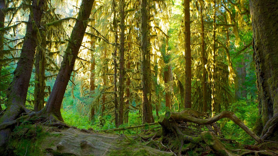 Những điểm đến nổi tiếng hơn nhờ phim Bom Tấn