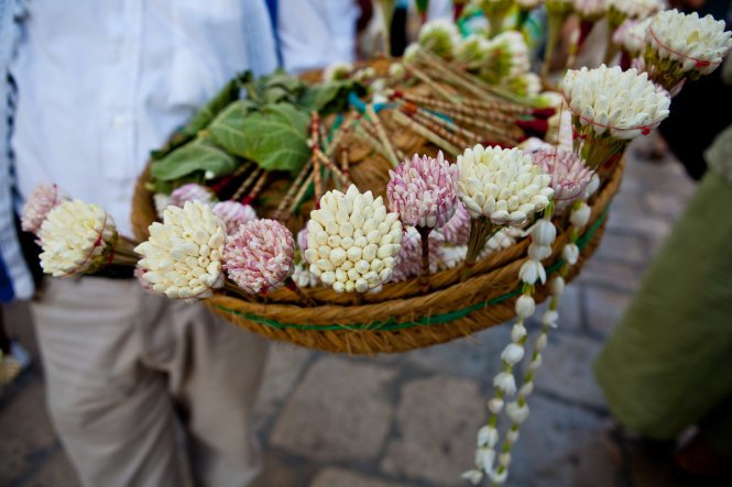 Chính quyền Tunisia đã cấm trồng hoa nhài kể từ sau cuộc Cách mạng Hoa Nhài năm 2010 – Ảnh: Mark Vos