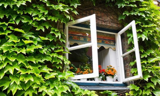 Italy: ném đồ đạc qua cửa sổ