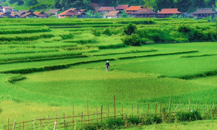 Thảo nguyên xanh Đồng Lâm đẹp tựa tiên cảnh cách Hà Nội chỉ hơn 100km ảnh 14