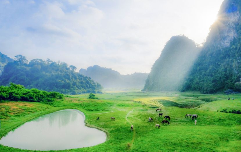 Thảo nguyên xanh Đồng Lâm đẹp tựa tiên cảnh cách Hà Nội chỉ hơn 100km ảnh 3