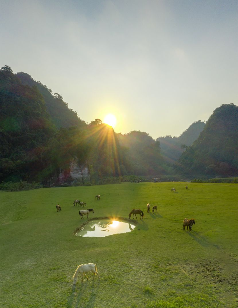 Thảo nguyên xanh Đồng Lâm đẹp tựa tiên cảnh cách Hà Nội chỉ hơn 100km ảnh 5