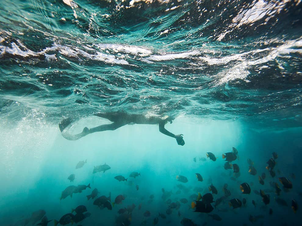 Đảo Floreana, Ecuador: Bức ảnh này được chụp gần đảo Floreana thuộc quần đảo Galápagos. Nằm ở vị trí biệt lập cách bờ biển Ecuador 965 km, Galápagos là nơi sinh sống của hơn 5.000 loài động vật. Ảnh: Joel Sartore. 