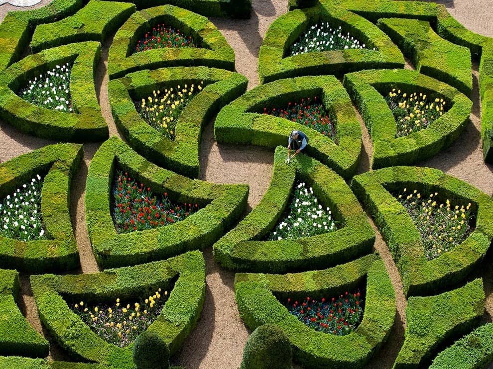 Villandry, Pháp: Một người làm vườn đang tỉa cây ở lâu đài Villandry, vùng Villandry nước Pháp. Lâu đài này được hoàn thiện năm 1536, nổi tiếng với 6 vườn cây độc đáo xung quanh. Ảnh: Emilie Chaix.